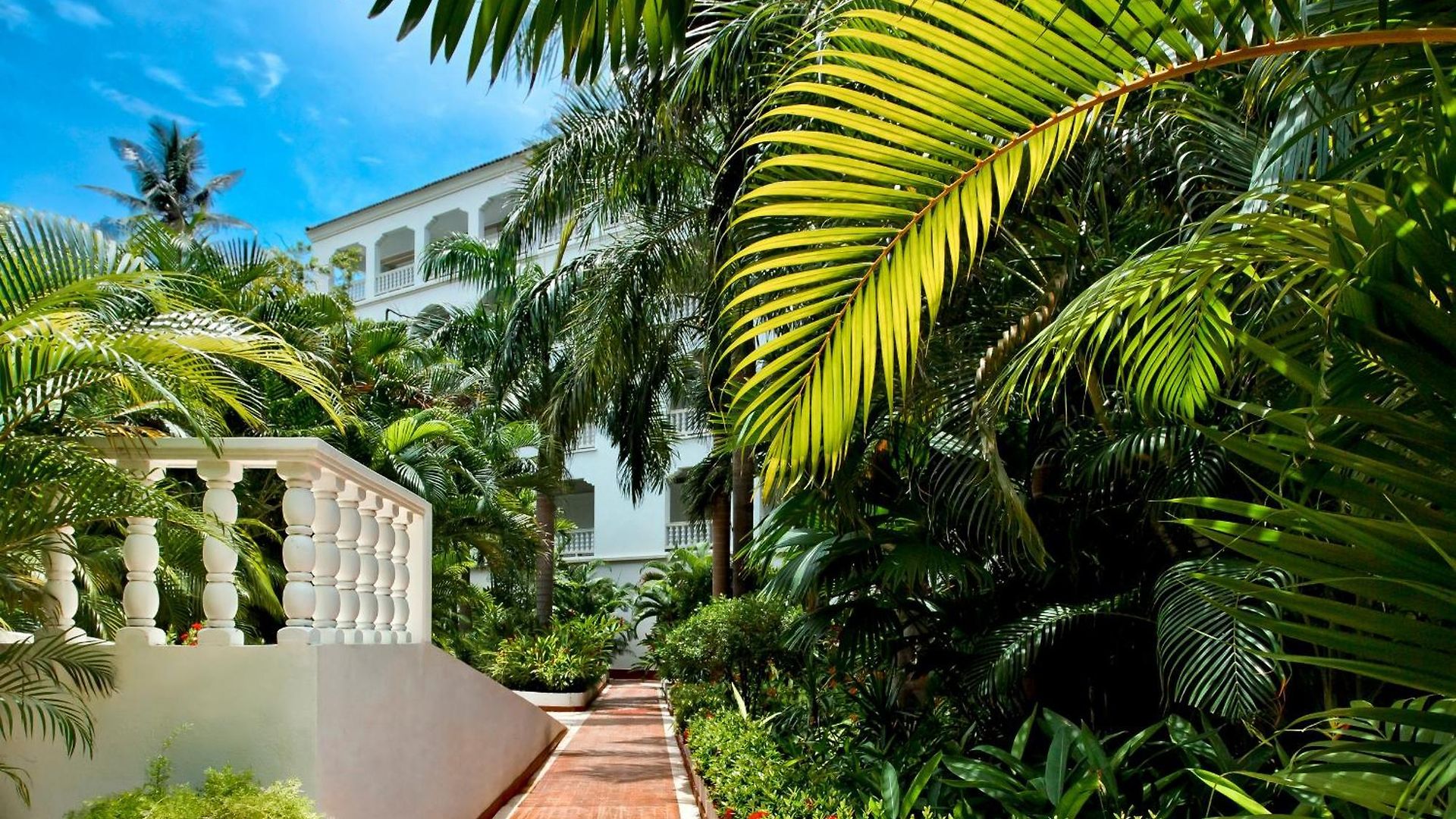 Caribe By Faranda Grand, A Member Of Radisson Individuals Cartagena