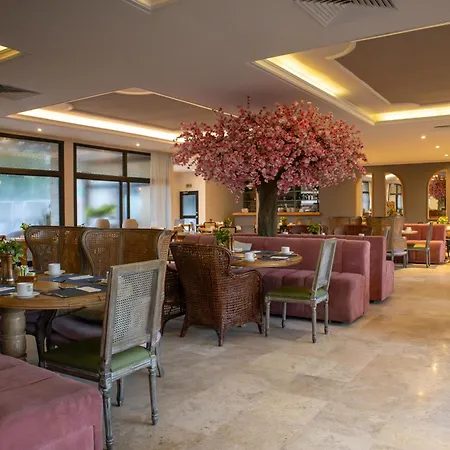 Hotel Caribe By Faranda Grand, A Member Of Radisson Individuals